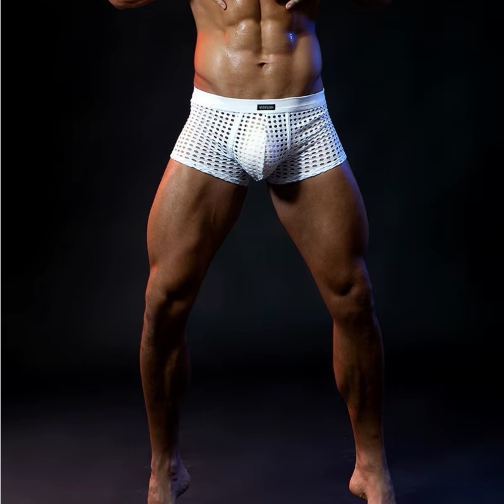 Mens Mesh Boxer Underwear